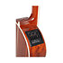 LTD2020 Peace Takamine