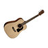 AD5 Pack Dreadnought Washburn