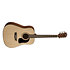 AD5 Pack Dreadnought Washburn
