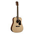 AD5 Pack Dreadnought Washburn