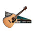 AD5CE Pack Dreadnought Electro Washburn