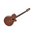 EF261S-AN Takamine