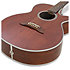 EF261S-AN Takamine
