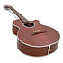 EF261S-AN Takamine