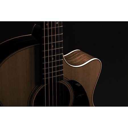 GPC-16E ROSEWOOD Martin Guitars