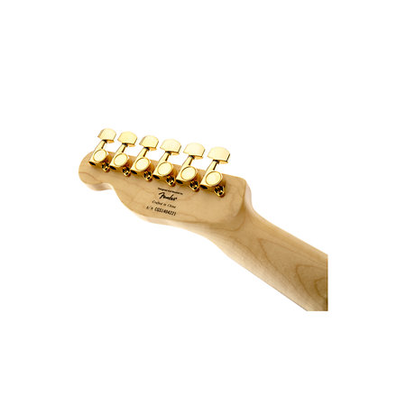 J5 Telecaster Laurel Frost Gold Squier by FENDER
