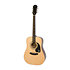 DR-100S Natural Satin Epiphone