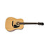 FT-100 Player Pack Natural Epiphone