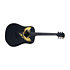 Tramontane WINGS 2020 Gold Dreadnought LAG