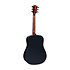 Tramontane WINGS 2020 Gold Dreadnought LAG