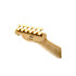 J5 Telecaster Laurel Frost Gold Squier by FENDER