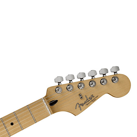 Shawn Mendes Musicmaster MN Floral Fender