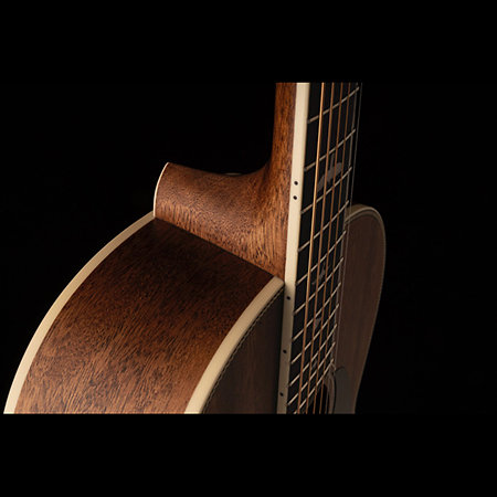 SE P20 Mahogany PRS