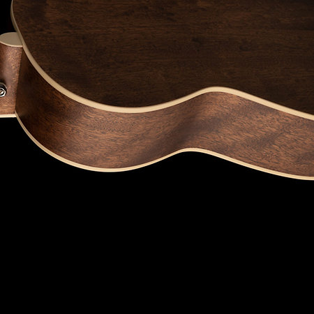 SE P20 Mahogany PRS