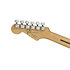 Shawn Mendes Musicmaster MN Floral Fender