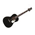 SE P20 Black Top PRS