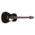 SE P20 Black Top PRS