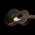 SE P20 Black Top PRS