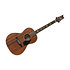 SE P20 Mahogany PRS