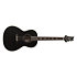 SE P20E Piezo Charcoal PRS