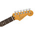 American Professional II Stratocaster RW Roasted Pine Fender