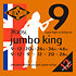 JK30SL Jumbo King Phosphor Bronze 12 Cordes Super Light 9/46 Rotosound