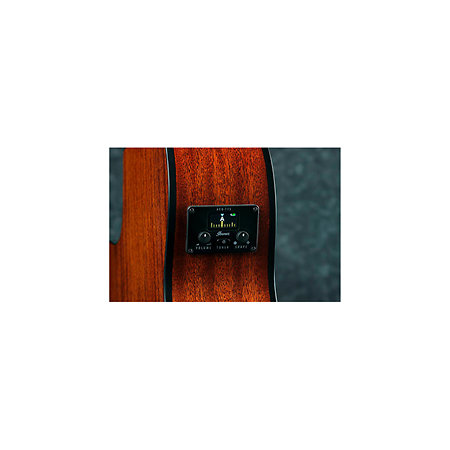 AEG5012 Black High Gloss 12 cordes Ibanez