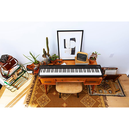 FP-30X Black Bundle 2 Roland