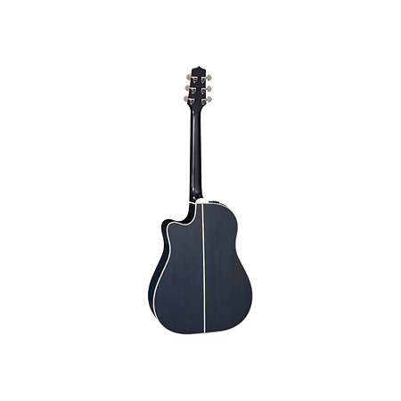 LTD2021-BLUEROSE Takamine