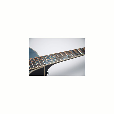 LTD2021-BLUEROSE Takamine