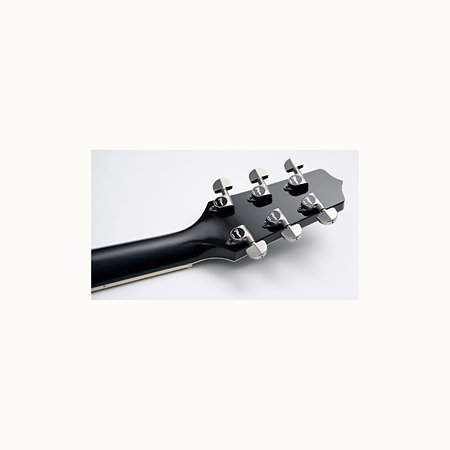 LTD2021-BLUEROSE Takamine