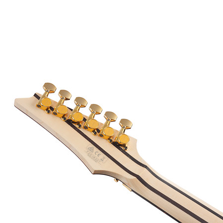 RG5170B RG Prestige Black + étui Ibanez