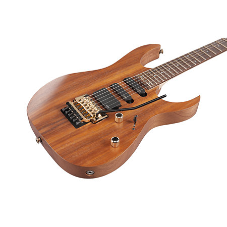 RG6PKAG RG Premium Natural Flat + housse : Guitare Metal / Moderne