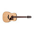 AAD100 Advanced Acoustic Open Pore Natural Ibanez