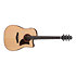 AAD300CE Advanced Acoustic Natural Low Gloss Ibanez