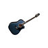 LTD2021-BLUEROSE Takamine
