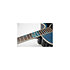 LTD2021-BLUEROSE Takamine