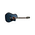 LTD2021-BLUEROSE Takamine