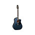 LTD2021-BLUEROSE Takamine