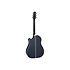 LTD2021-BLUEROSE Takamine