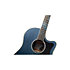 LTD2021-BLUEROSE Takamine