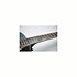 LTD2021-BLUEROSE Takamine