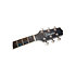 LTD2021-BLUEROSE Takamine