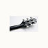 LTD2021-BLUEROSE Takamine