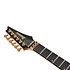 RG5170B RG Prestige Black + étui Ibanez