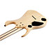 RGDR4427FX RGD Prestige Natural Flat 7 cordes + étui Ibanez