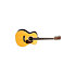 GP-35E Martin Guitars