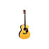 GP-35E Martin Guitars