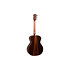 GP-35E Martin Guitars