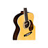 GP-35E Martin Guitars